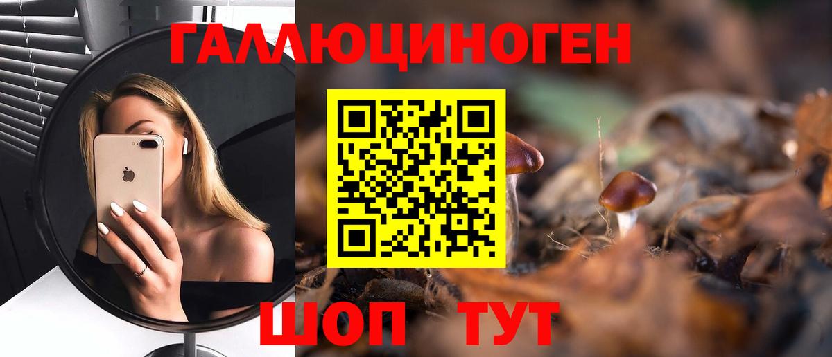 Галлюциногенные грибы MAGIC MUSHROOMS  Вход с VPN  Ноябрьск 